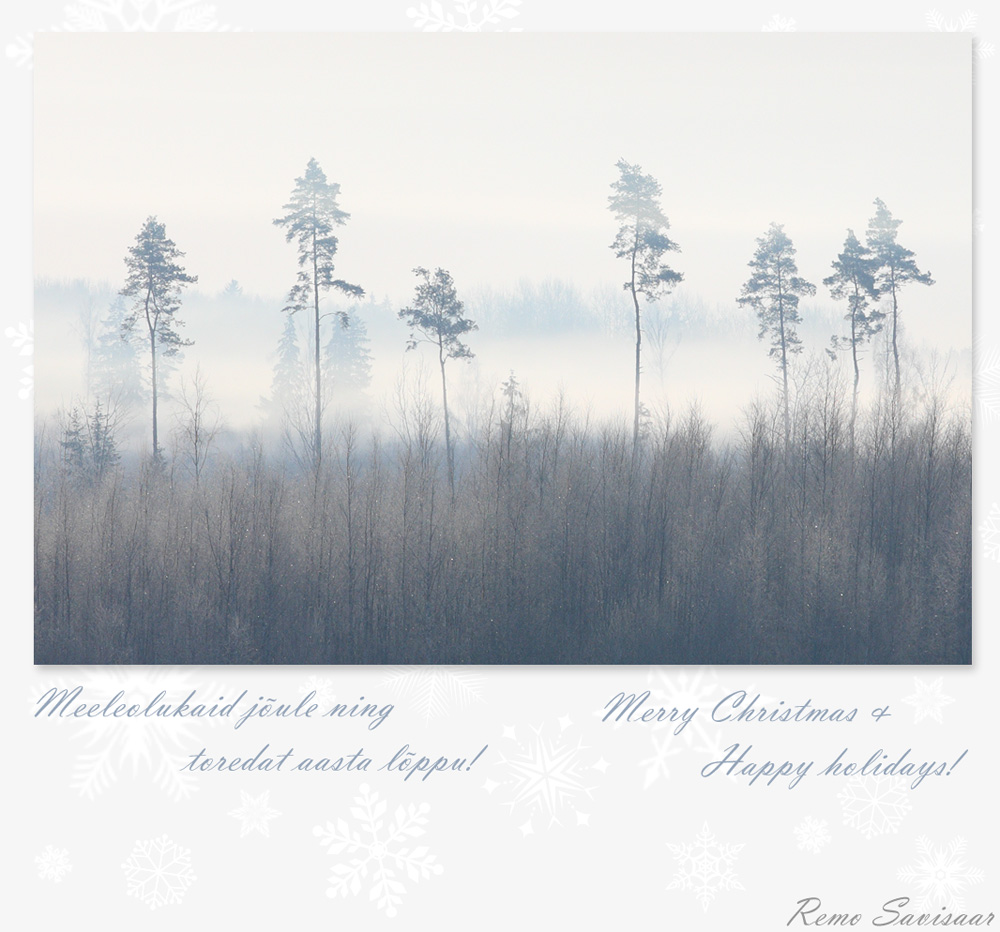 Pühadetervitused! Season’s Greetings! jõulud xmas Remo Savisaar Eesti loodus  Estonian Estonia Baltic nature wildlife photography photo blog loodusfotod loodusfoto looduspilt looduspildid 