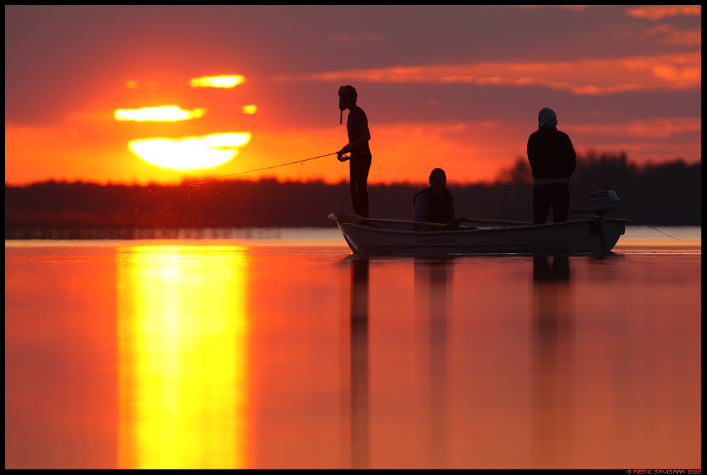 Õhtu järvel, Evening at the lake , kevad, spring, päikeseloojang, sunset, järv, Kevadõhtune idüll, Idyllic spring evening, kalapüük, fishing, hobi, hobby