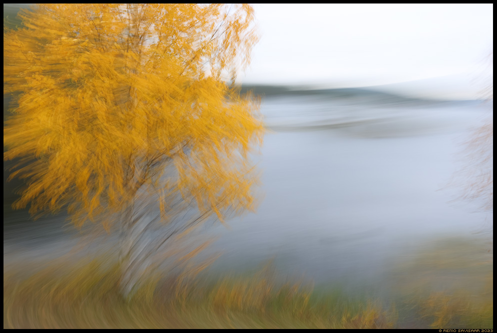 Peadpööritavad sügisvärvid, Dizzying Autumn Colours watercolor impressionism abstract impressionism Lapimaa, Lapland soome finland icm Remo Savisaar nature wildlife photography photo blog loodusfotod loodusfoto looduspilt looduspildid 