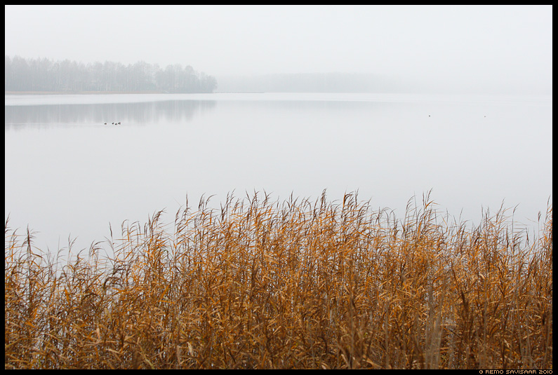 Vaikus järvel, Silence on the lake