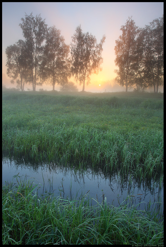 päikesetõus sunrise Hommik luhal, Morning at the floodplain, watermeadow, luht, Eesti, nature, loodus, udu, udune, fog, foggy