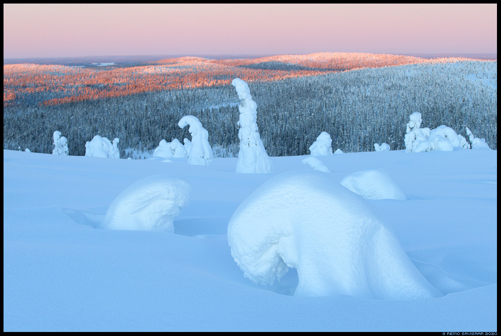 Lapimaa, Lapland riisitunturi soome finland Remo Savisaar nature wildlife photography photo blog loodusfotod loodusfoto looduspilt looduspildid 