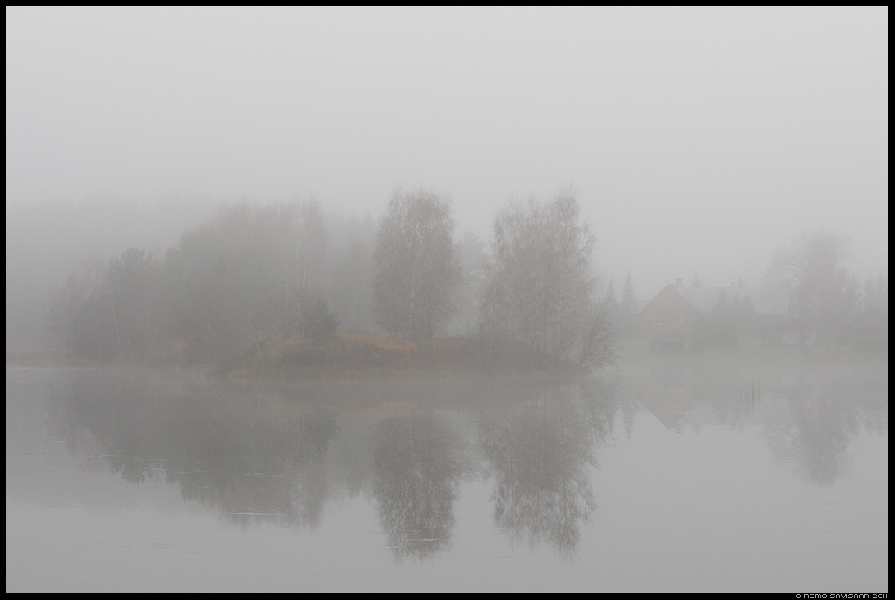 Udune november, Foggy november, järv, järvel, vesi, sügis, autumn, fall, udu, udune, pehme, foggy, misty, fog, mist